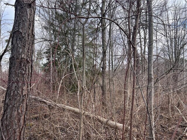 0 Ryther Rd, Evans, NY 14006 - photo 5