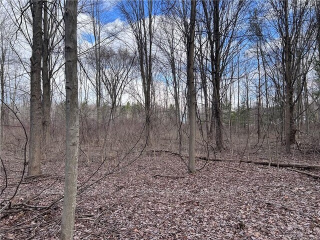 0 Ryther Rd, Evans, NY 14006 - photo 6