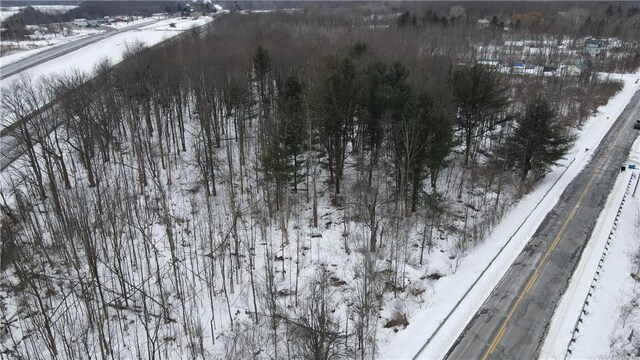 0 Ryther Rd, Evans, NY 14006 - photo 7
