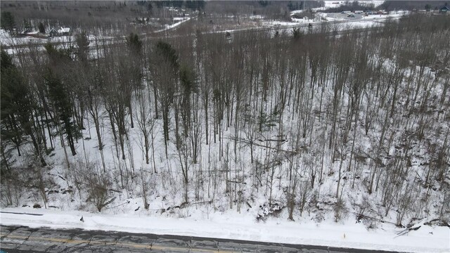 0 Ryther Rd, Evans, NY 14006 - photo 9