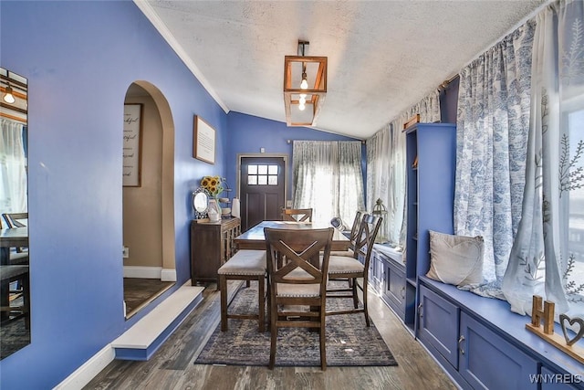 dining area with crown molding, lofted ceiling, dark hardwood / wood-style floors, and a textured ceiling