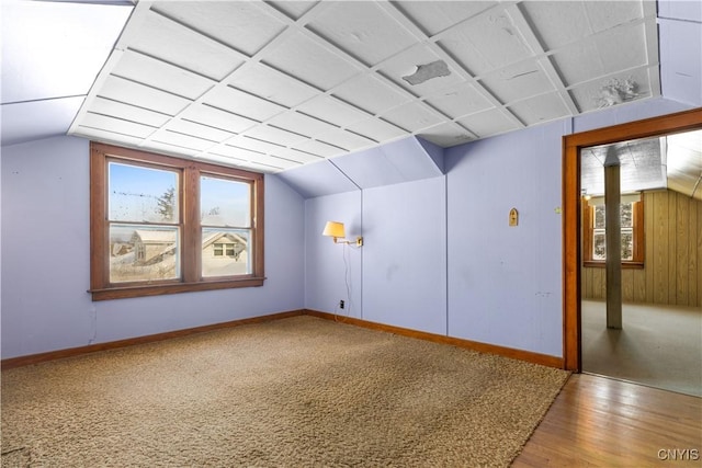 1407 Downer Ave, Utica, NY 13502 - additional living space featuring wood finished floors, vaulted ceiling, and carpet flooring