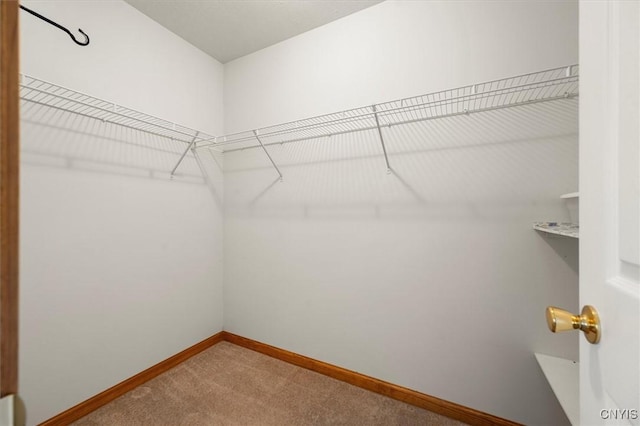 spacious closet with carpet