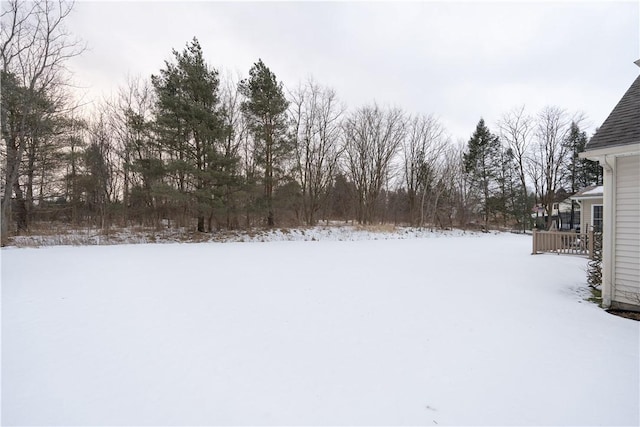 view of yard layered in snow