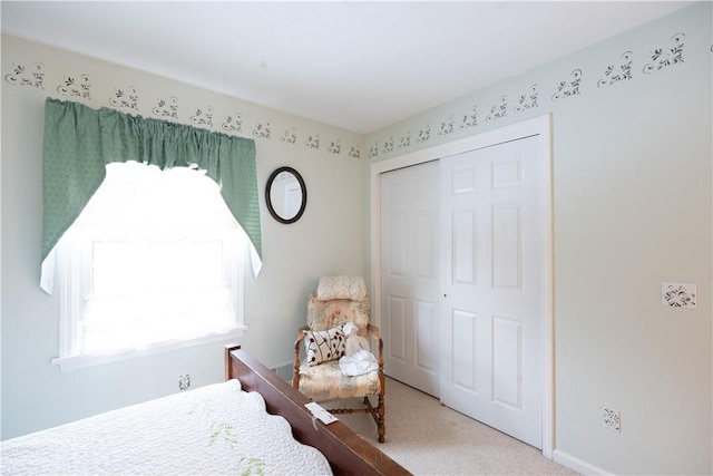 bedroom featuring carpet and a closet