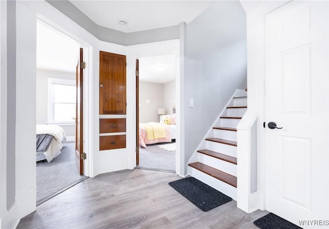 staircase with hardwood / wood-style floors