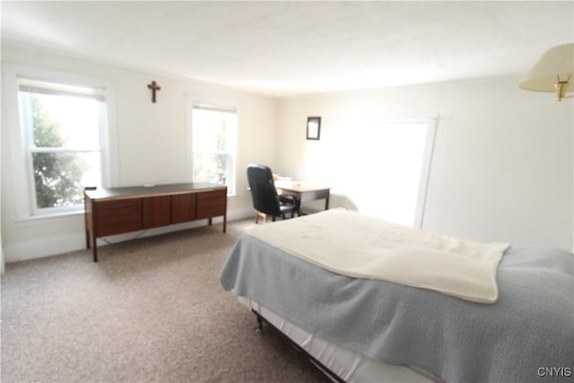 bedroom with carpet flooring