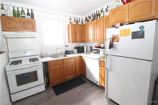 kitchen with sink, dark wood-type flooring, and white appliances