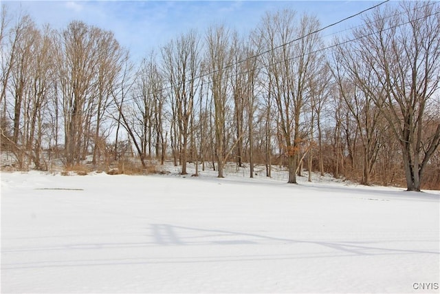 view of yard layered in snow