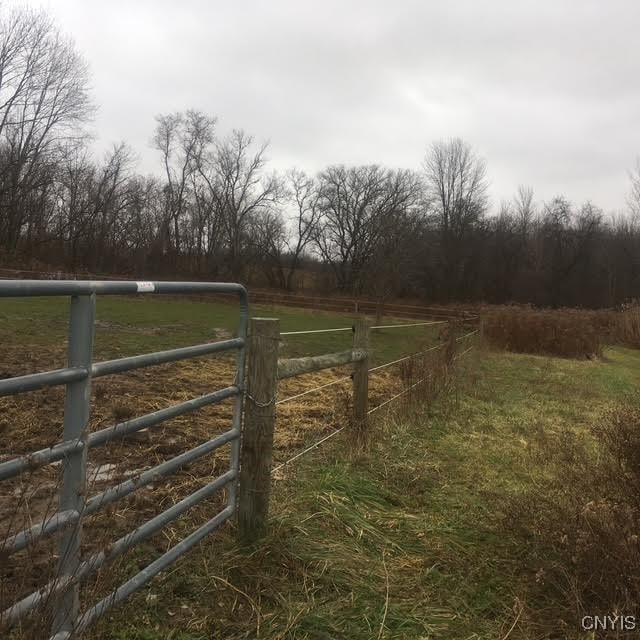 view of yard featuring a rural view