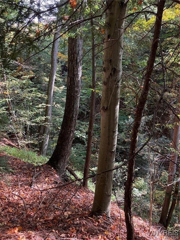 3620 Yochum Rd, Eden, NY 14057 - photo 5