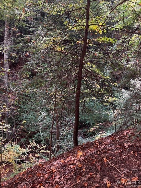 3620 Yochum Rd, Eden, NY 14057 - photo 6