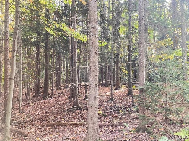 3620 Yochum Rd, Eden, NY 14057 - photo 8