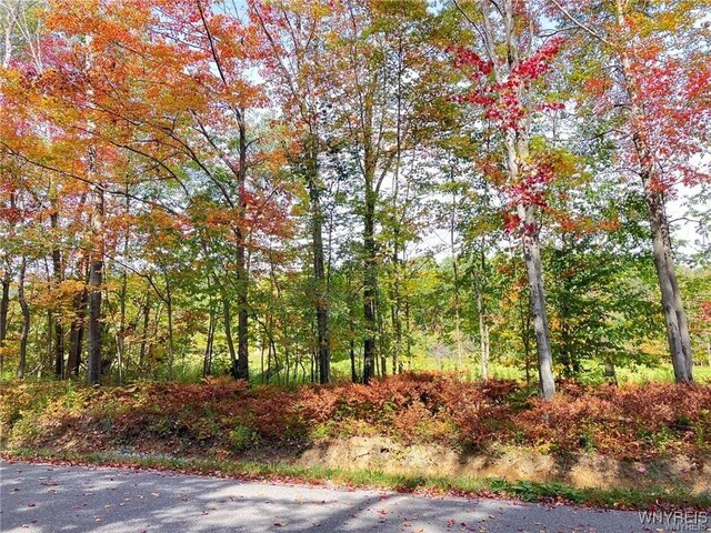 3620 Yochum Rd, Eden, NY 14057 - photo 10