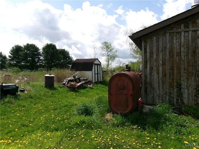 view of yard with a shed