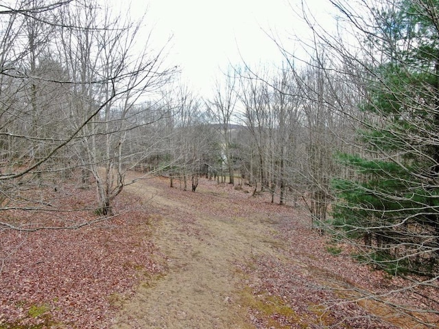 view of landscape