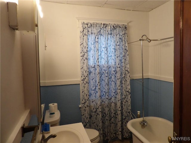 bathroom with sink, a paneled ceiling, and toilet