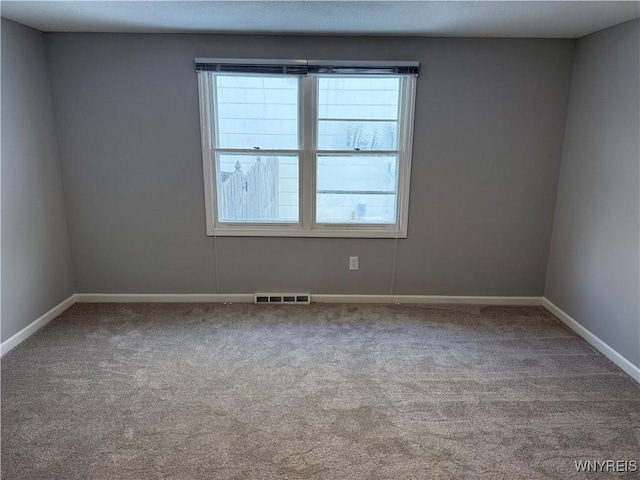 carpeted empty room featuring a wealth of natural light