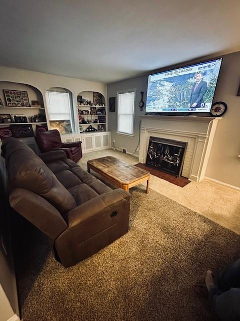 carpeted living room with built in features