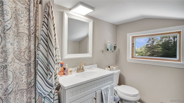 bathroom featuring toilet, vanity, and vaulted ceiling