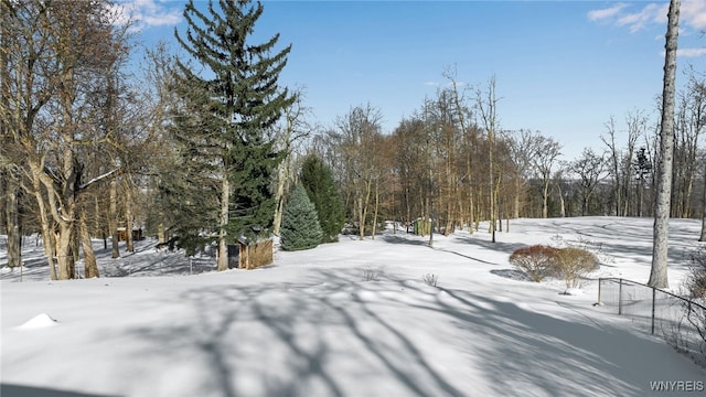 view of snowy yard