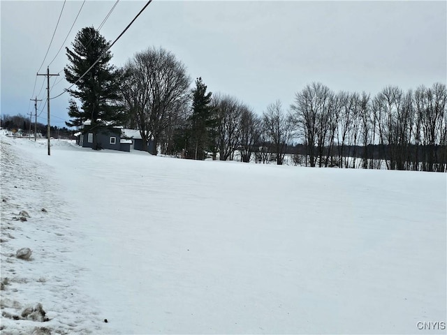 view of snowy yard