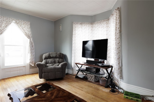 living room with hardwood / wood-style flooring