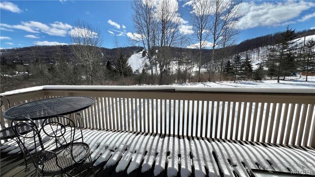 7025 Nys Route 242, Mansfield, NY 14731 - photo 19
