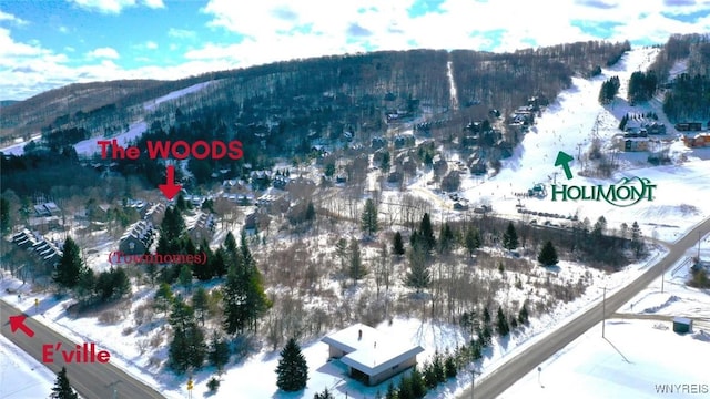 7025 Nys Route 242, Mansfield, NY 14731 - photo 3