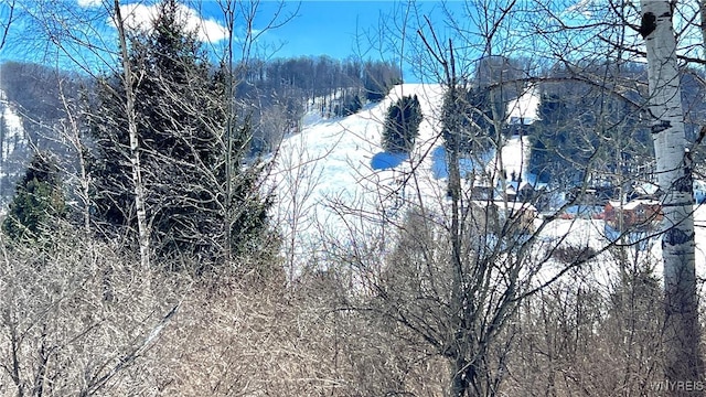 view of snowy view