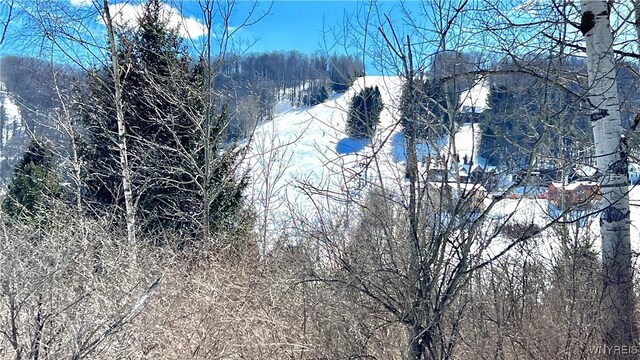 7025 Nys Route 242, Mansfield, NY 14731 - photo 6