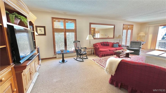 carpeted living room featuring crown molding and a textured ceiling