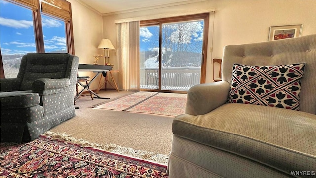 carpeted living room featuring ornamental molding