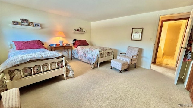 bedroom with carpet flooring