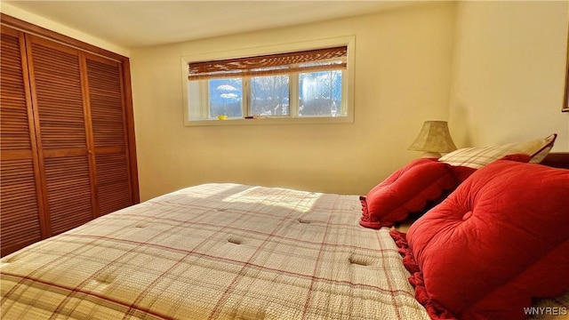 7025 Nys Route 242, Mansfield, NY 14731 - photo 40