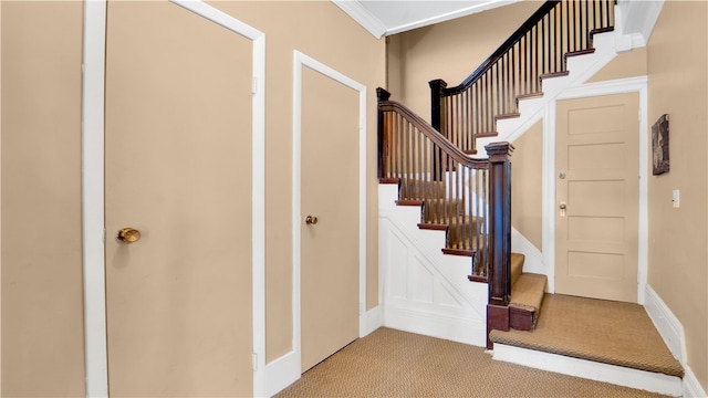 stairs with carpet floors and ornamental molding