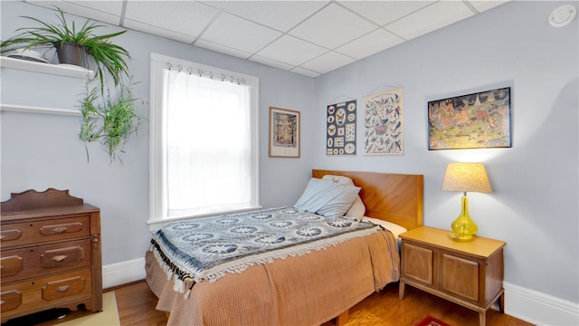 bedroom with a drop ceiling, multiple windows, and hardwood / wood-style floors