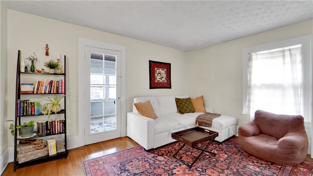 living room featuring wood-type flooring and a textured ceiling