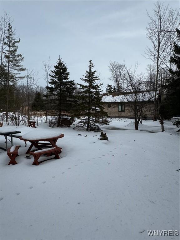 view of yard covered in snow