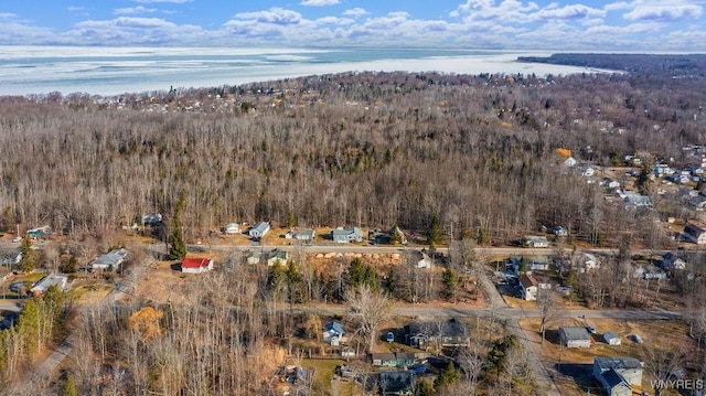 bird's eye view featuring a view of trees and a water view