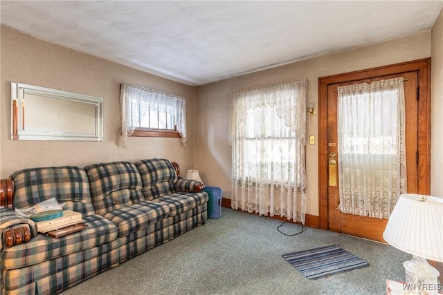 living room featuring carpet