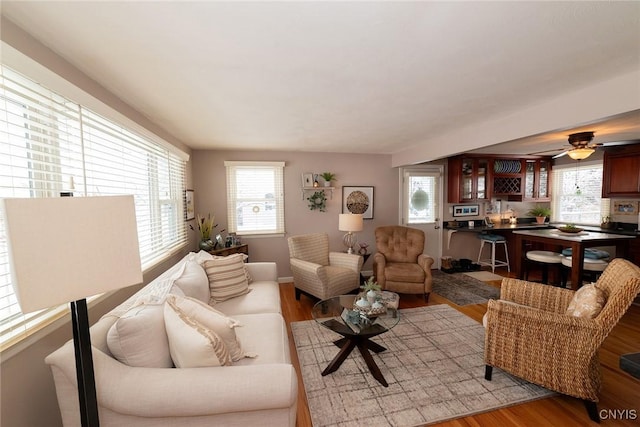 living room featuring plenty of natural light and light hardwood / wood-style floors