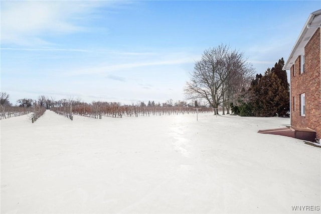 view of yard covered in snow