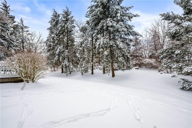 view of yard layered in snow