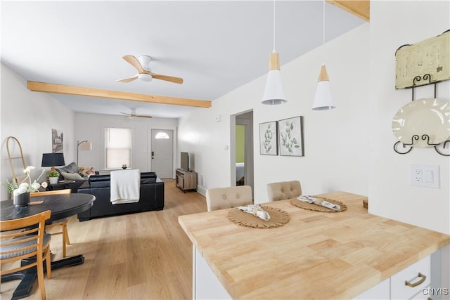 dining space with ceiling fan and light hardwood / wood-style flooring