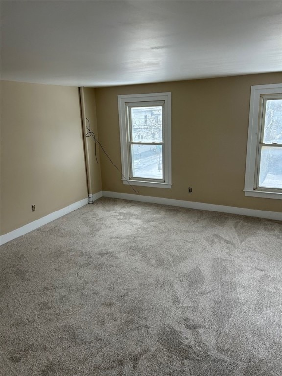 spare room with carpet