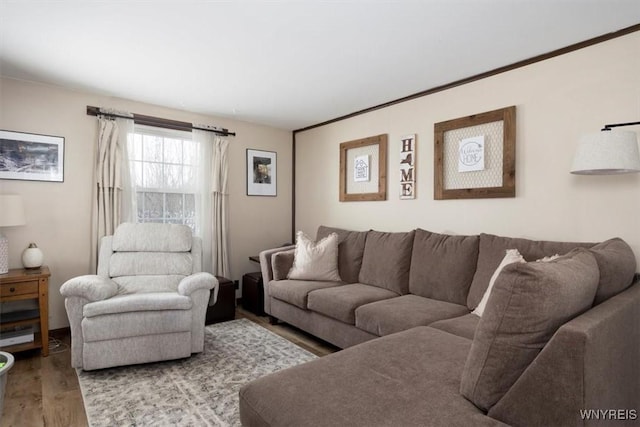 living room featuring light wood-type flooring and crown molding