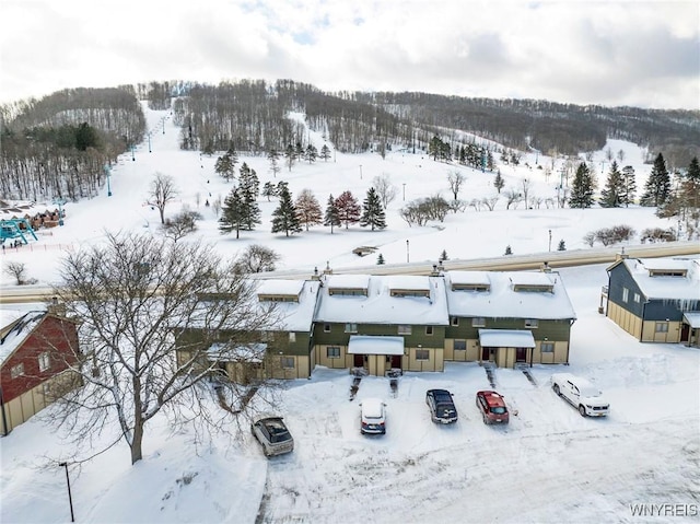 view of snowy aerial view