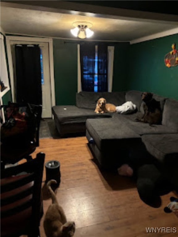 living room with wood finished floors