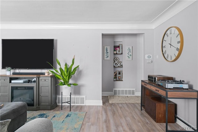 living room featuring light hardwood / wood-style flooring